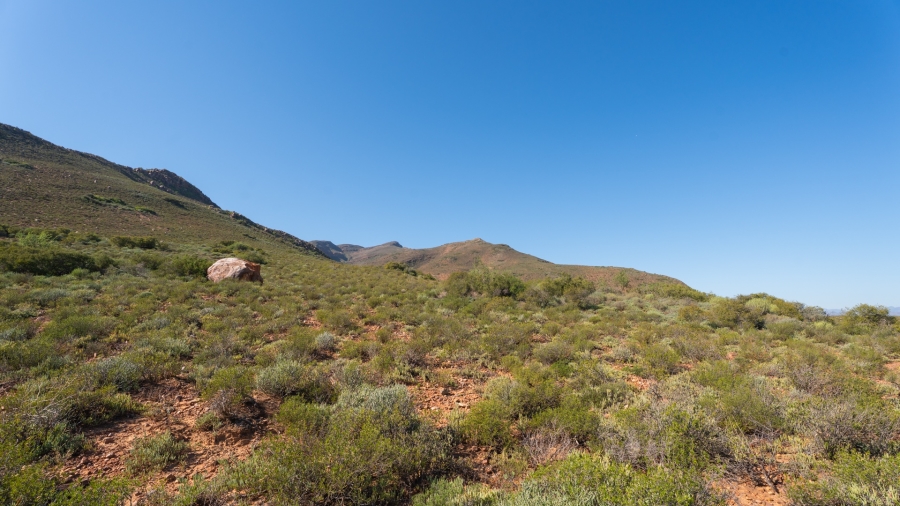 11 Bedroom Property for Sale in Robertson Western Cape